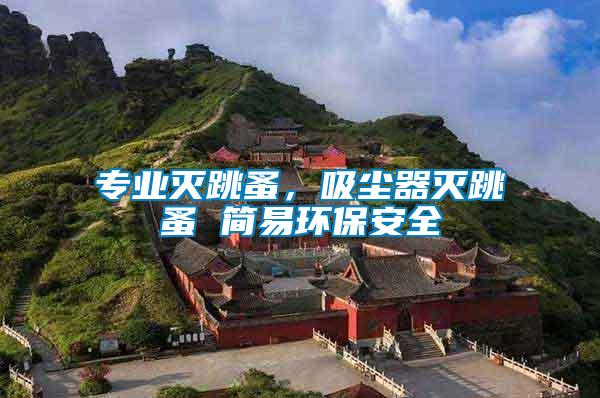 專業滅跳蚤，吸塵器滅跳蚤 簡易環保安全
