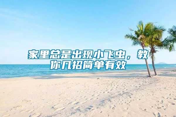 家里總是出現小飛蟲，教你幾招簡單有效