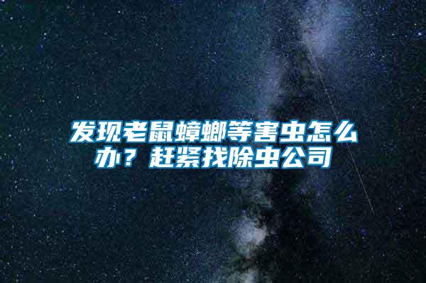 發現老鼠蟑螂等害蟲怎么辦?趕緊找除蟲公司