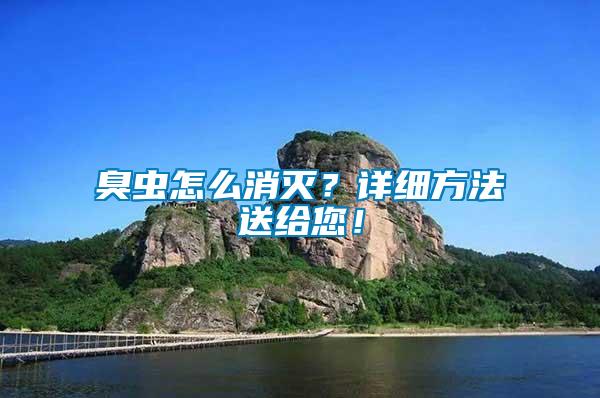 臭蟲怎么消滅？詳細方法送給您！