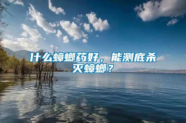 什么蟑螂藥好，能測(cè)底殺滅蟑螂？