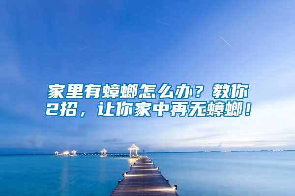 家里有蟑螂怎么辦？教你2招，讓你家中再無蟑螂！