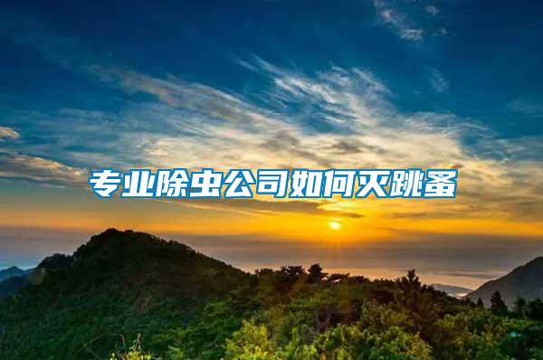 專(zhuān)業(yè)除蟲(chóng)公司如何滅跳蚤