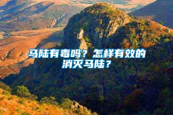 馬陸有毒嗎？怎樣有效的消滅馬陸？