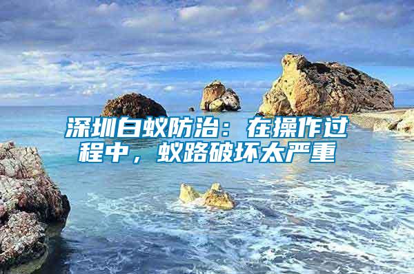 深圳白蟻防治：在操作過程中，蟻路破壞太嚴(yán)重