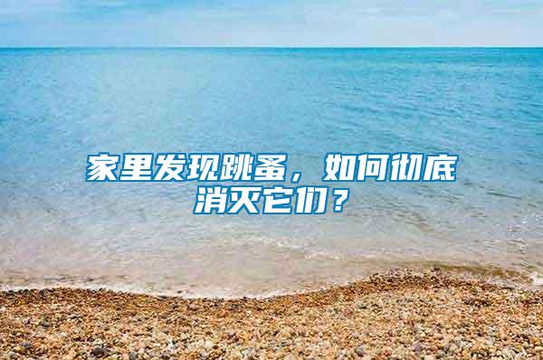 家里發現跳蚤，如何徹底消滅它們？