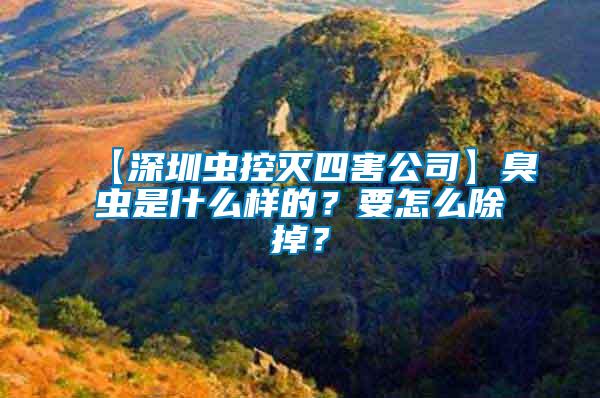 【深圳蟲控滅四害公司】臭蟲是什么樣的？要怎么除掉？
