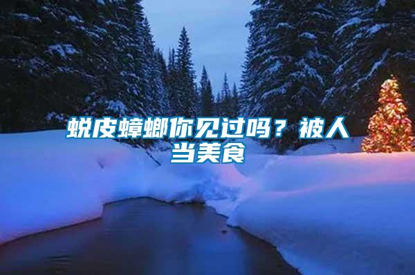 蛻皮蟑螂你見過嗎？被人當美食