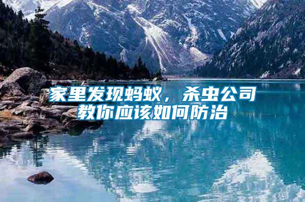家里發現螞蟻，殺蟲公司教你應該如何防治