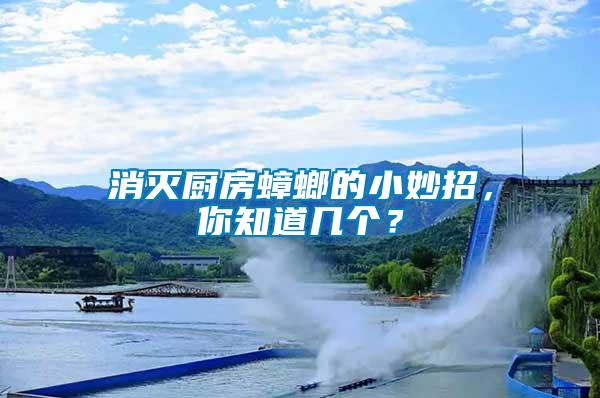 消滅廚房蟑螂的小妙招，你知道幾個？