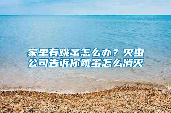 家里有跳蚤怎么辦？滅蟲公司告訴你跳蚤怎么消滅