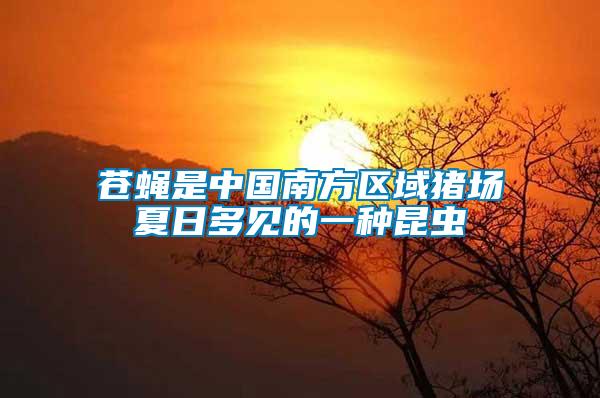 蒼蠅是中國南方區域豬場夏日多見的一種昆蟲