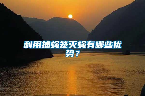 利用捕蠅籠滅蠅有哪些優勢？