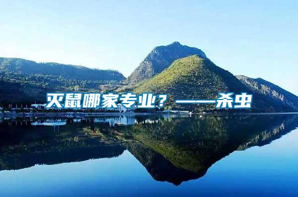 滅鼠哪家專業(yè)？——?dú)⑾x