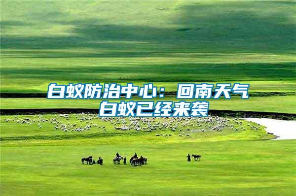 白蟻防治中心:回南天氣 白蟻已經來襲