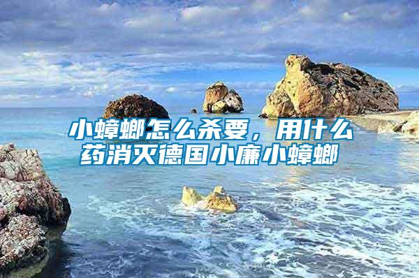 小蟑螂怎么殺要，用什么藥消滅德國小廉小蟑螂