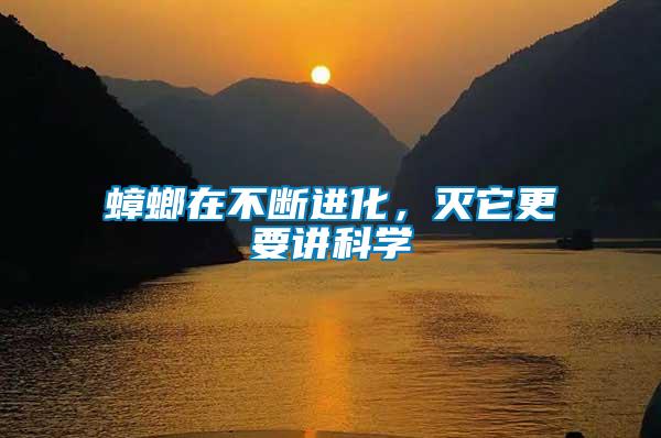 蟑螂在不斷進化，滅它更要講科學