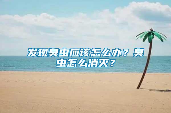 發現臭蟲應該怎么辦?臭蟲怎么消滅?