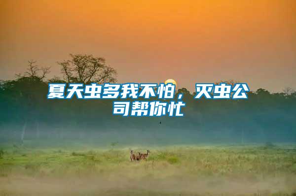 夏天蟲(chóng)多我不怕，滅蟲(chóng)公司幫你忙