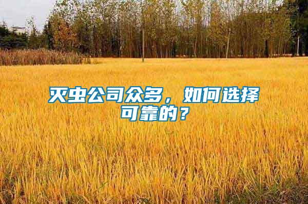 滅蟲公司眾多，如何選擇可靠的？