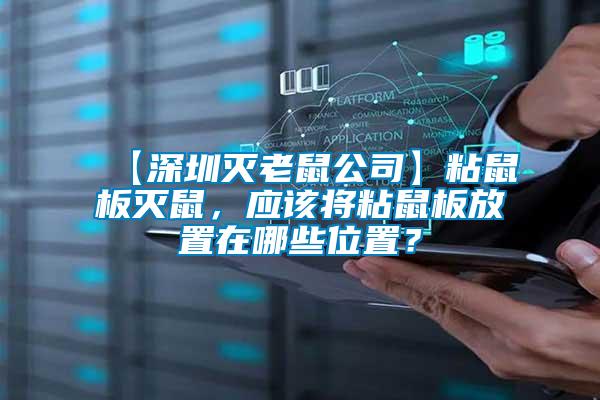 【深圳滅老鼠公司】粘鼠板滅鼠，應該將粘鼠板放置在哪些位置？