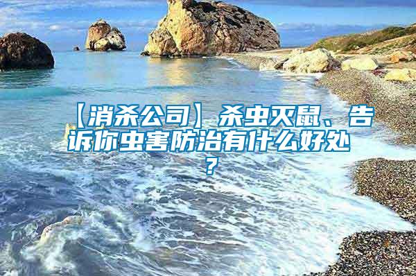 【消殺公司】殺蟲滅鼠、告訴你蟲害防治有什么好處？
