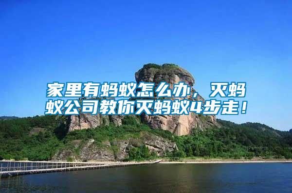 家里有螞蟻怎么辦，滅螞蟻公司教你滅螞蟻4步走！