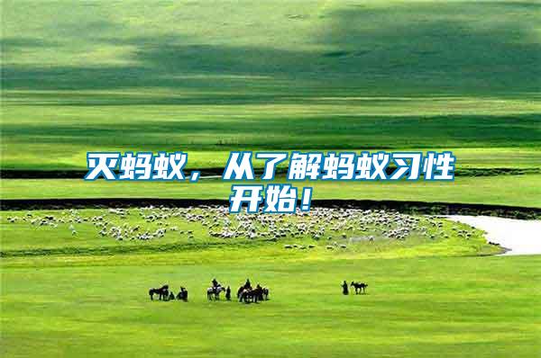 滅螞蟻，從了解螞蟻習性開始！