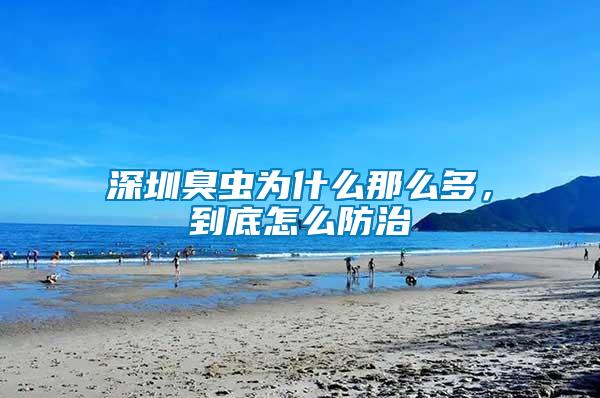 深圳臭蟲為什么那么多，到底怎么防治