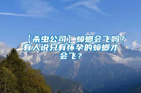 【殺蟲公司】蟑螂會飛嗎？有人說只有懷孕的蟑螂才會飛？