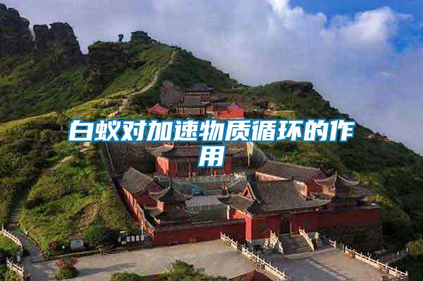 白蟻對加速物質循環的作用