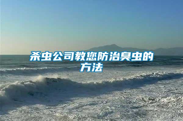 殺蟲(chóng)公司教您防治臭蟲(chóng)的方法