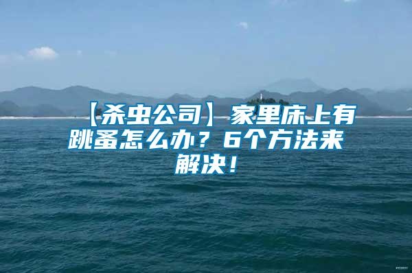 【殺蟲公司】家里床上有跳蚤怎么辦？6個方法來解決！