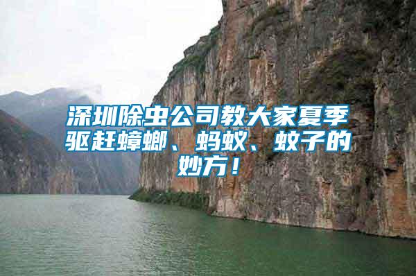 深圳除蟲公司教大家夏季驅趕蟑螂、螞蟻、蚊子的妙方！