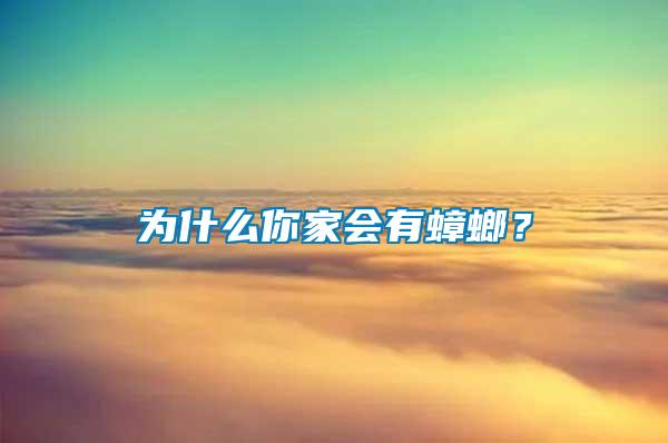 為什么你家會有蟑螂？