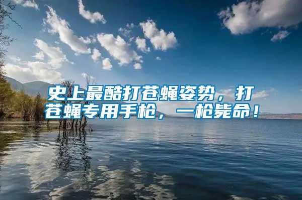 史上最酷打蒼蠅姿勢，打蒼蠅專用手槍，一槍斃命！