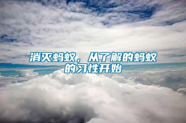 消滅螞蟻，從了解的螞蟻的習性開始