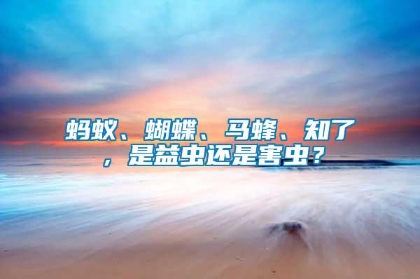 螞蟻、蝴蝶、馬蜂、知了，是益蟲還是害蟲？