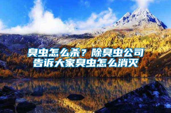 臭蟲怎么殺？除臭蟲公司告訴大家臭蟲怎么消滅