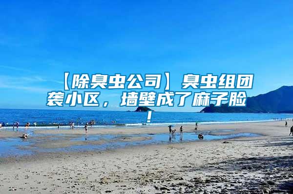 【除臭蟲公司】臭蟲組團(tuán)襲小區(qū)，墻壁成了麻子臉！