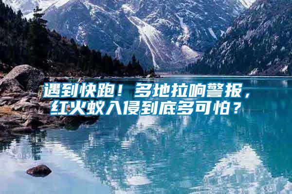 遇到快跑！多地拉響警報，紅火蟻入侵到底多可怕？