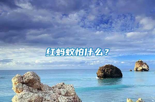 紅螞蟻怕什么？