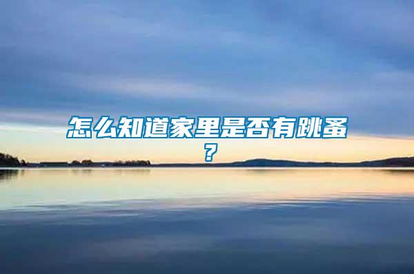 怎么知道家里是否有跳蚤?