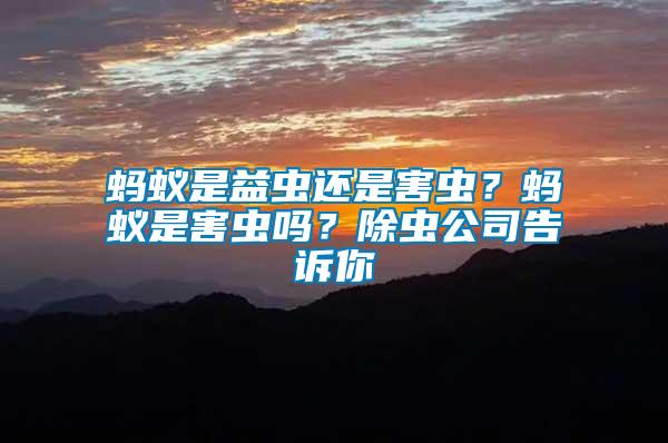 螞蟻是益蟲(chóng)還是害蟲(chóng)？螞蟻是害蟲(chóng)嗎？除蟲(chóng)公司告訴你