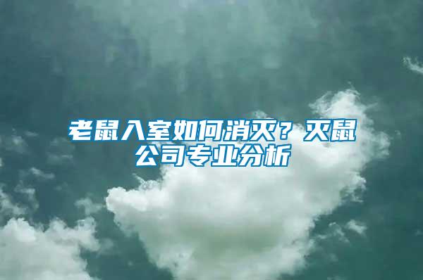 老鼠入室如何消滅？滅鼠公司專業分析