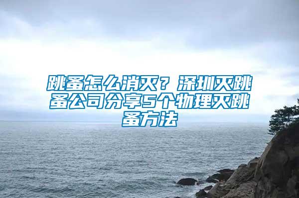 跳蚤怎么消滅？深圳滅跳蚤公司分享5個物理滅跳蚤方法