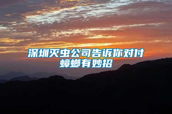 深圳滅蟲(chóng)公司告訴你對(duì)付蟑螂有妙招