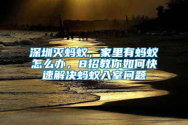 深圳滅螞蟻，家里有螞蟻怎么辦，8招教你如何快速解決螞蟻入室問題