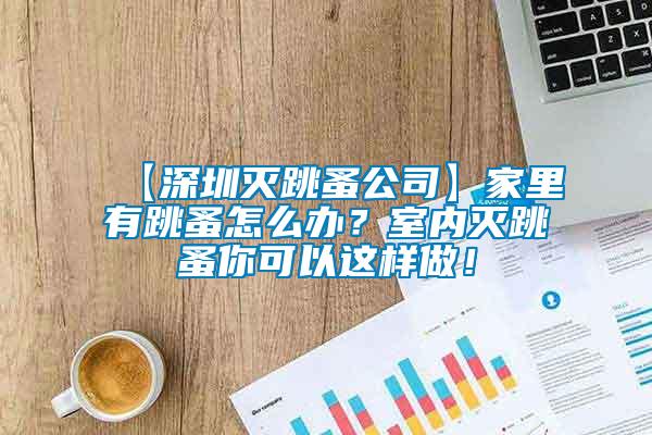 【深圳滅跳蚤公司】家里有跳蚤怎么辦？室內(nèi)滅跳蚤你可以這樣做！