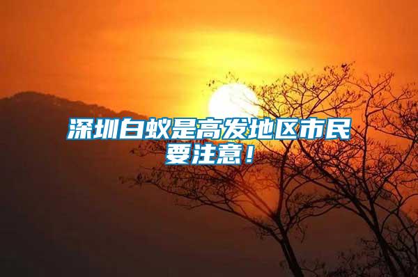 深圳白蟻是高發地區市民要注意！